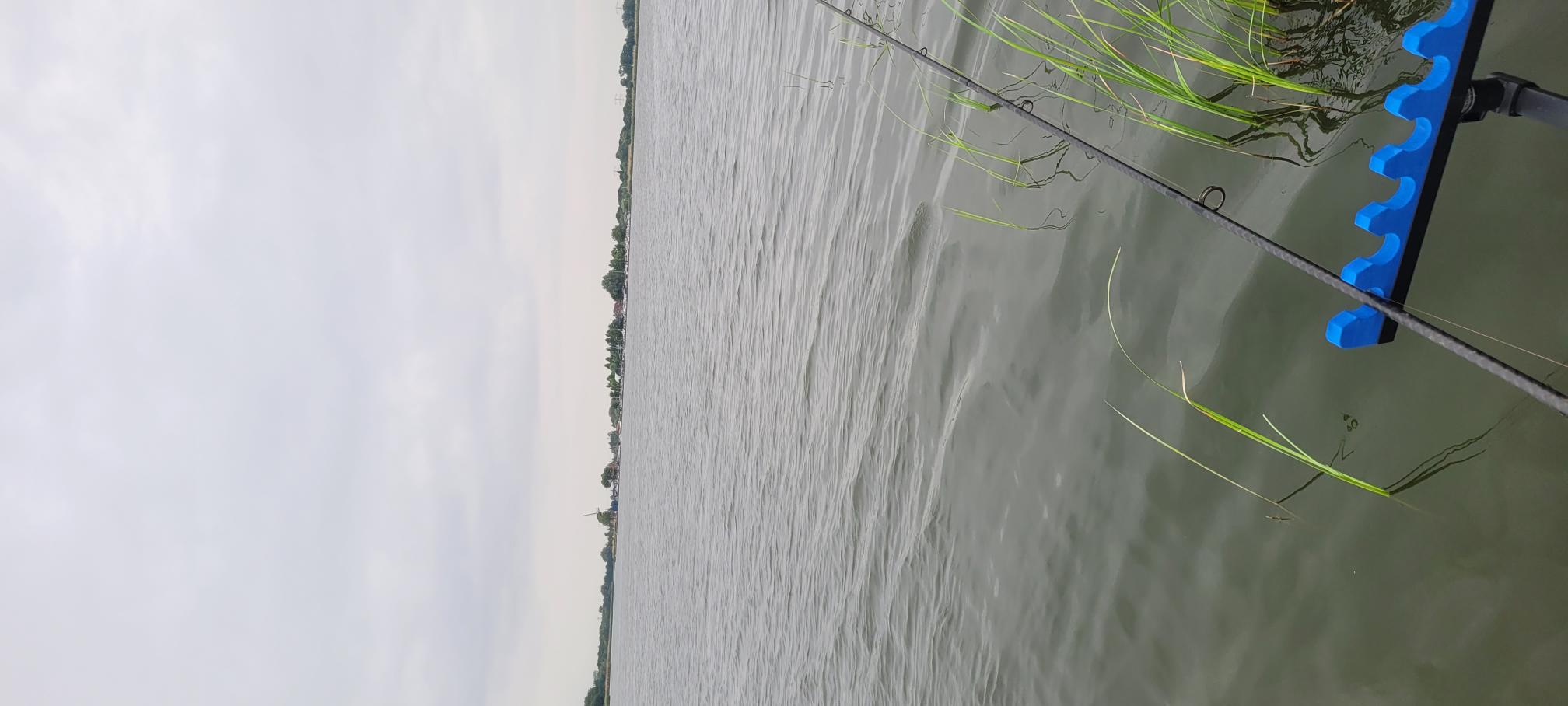 20250524_081603.jpg