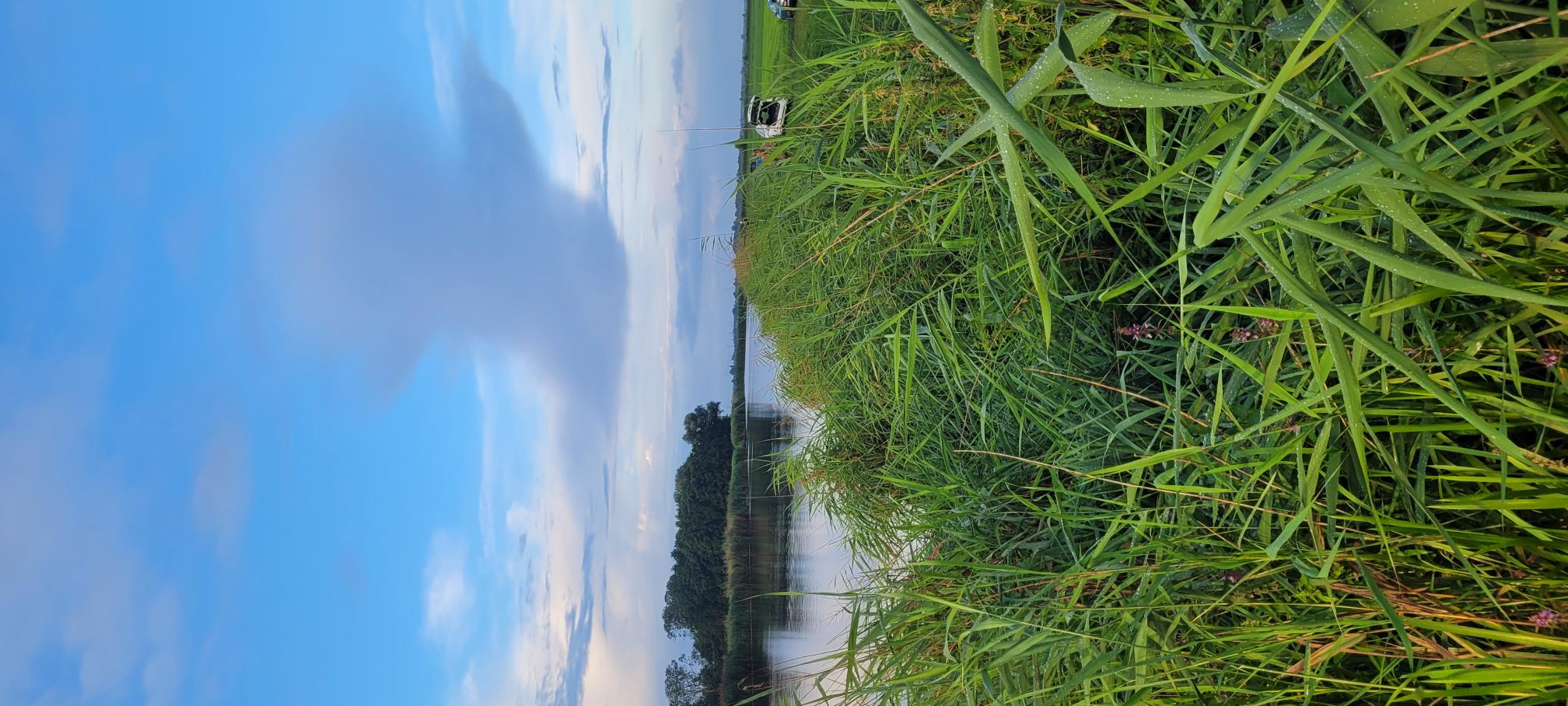 20250802_065541.jpg