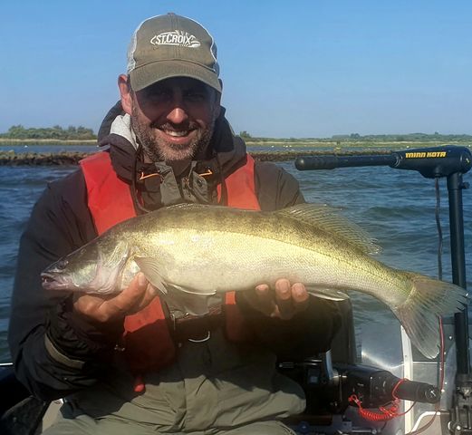 snoekbaars