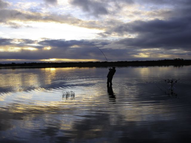 Deadbait Fishing640
