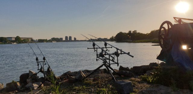 paulbreedveld2640