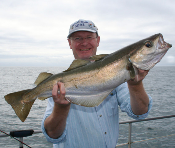 Kilmore Quay Pollack640