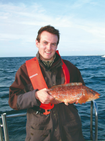 Wrasse from Kilmore Quay640