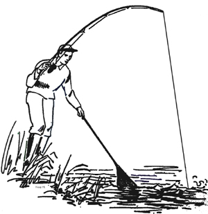 logo-de-bleiberg
