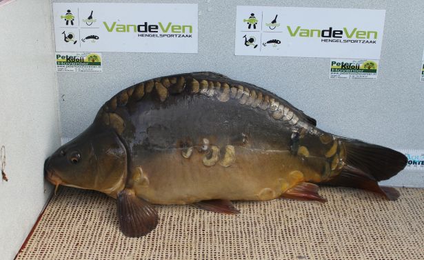 karperuizetRottemeren615